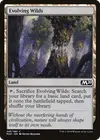 Product image for Evolving Wilds