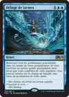 Product image for Déluge de larmes
