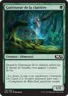 Product image for Guérisseur de la clairière