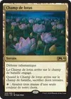 Product image for Champ de lotus