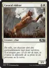 Product image for Caracal rôdeur