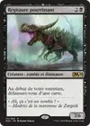 Product image for Régisaure pourrissant