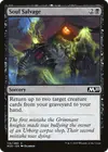 Product image for Soul Salvage