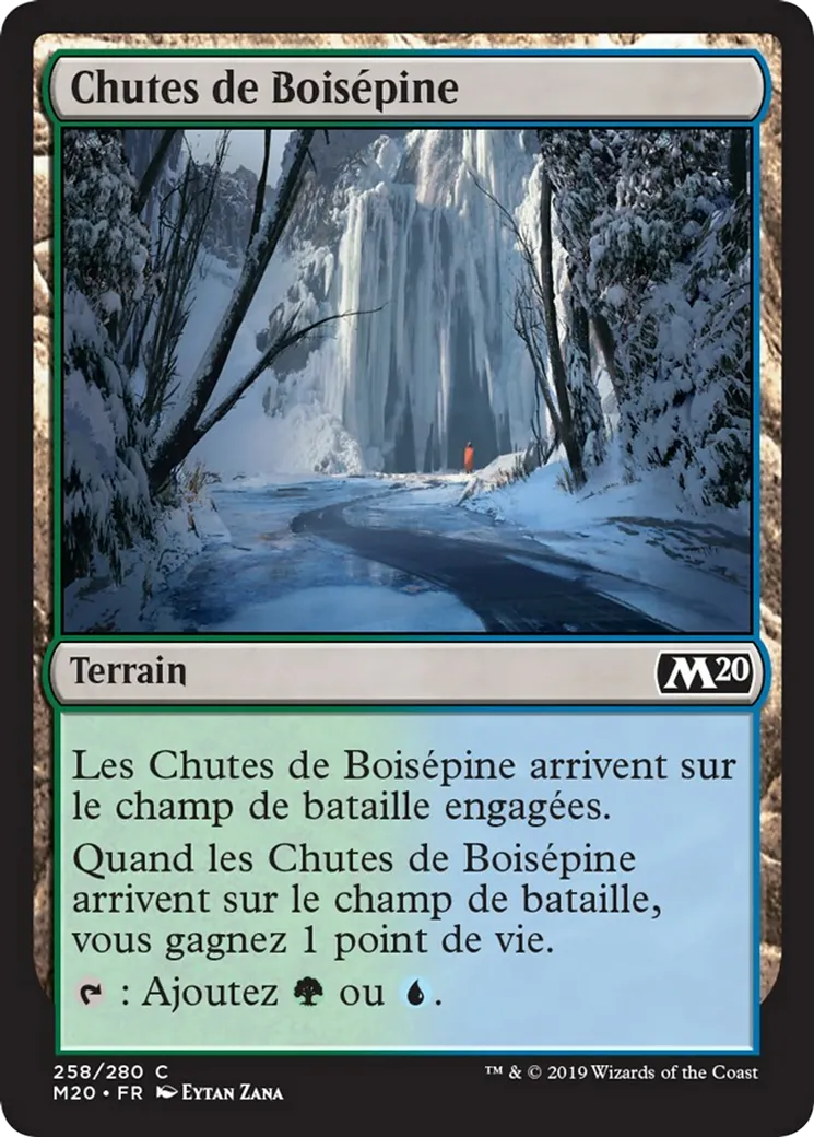 Chutes de Boisépine from Core Set 2020 - Magic: The Gathering