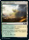 Product image for Sables verdoyants