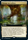 Product image for Passage merveilleux
