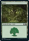 Product image for Forêt