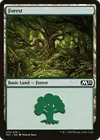 Product image for Forest