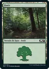 Product image for Forêt