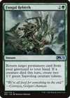 Product image for Fungal Rebirth