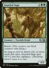Product image for Gnarled Sage