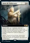 Product image for Idole de l'endurance
