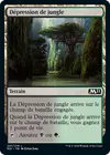 Product image for Dépression de jungle