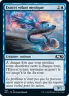 Product image for Exocet volant mystique