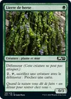Product image for Lierre de herse