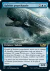 Product image for Baleine pourchassée