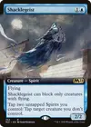 Product image for Shacklegeist