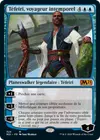 Product image for Téfeiri, voyageur intemporel