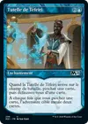 Product image for Tutelle de Téfeiri