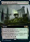 Product image for Temple de la maladie