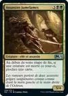 Product image for Assassins jumelames
