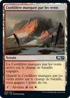 Product image for Cordillère marquée par les vents