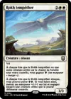 Product image for Rokh tempéther