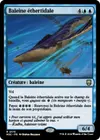 Product image for Baleine éthertidale