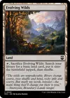 Product image for Evolving Wilds