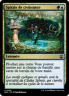 Product image for Spirale de croissance