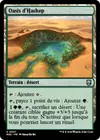Product image for Oasis d'Hashep