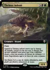 Product image for Thrinax infesté