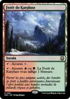 Product image for Forêt de Karpluse