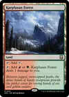 Product image for Karplusan Forest