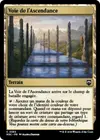 Product image for Voie de l'Ascendance