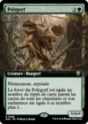 Product image for Polygoyf