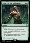 Product image for Return of the Wildspeaker