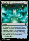 Product image for Chambre de croissance des Simic