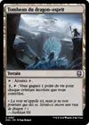 Product image for Tombeau du dragon-esprit