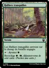 Product image for Halliers tranquilles