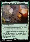Product image for Yavimaya, berceau de croissance