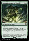 Product image for Immersion dans la ligne ley