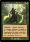 Product image for Immersion dans la ligne ley