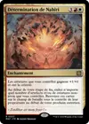 Product image for Détermination de Nahiri