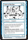 Product image for Catch of the Day