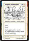 Product image for Terry Pin, Turboturtle