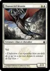 Product image for Chasseciel léonin