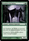 Product image for Gardiens de Melira