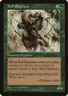 Product image for Eléphant mâle