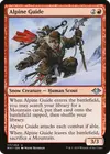 Product image for Alpine Guide